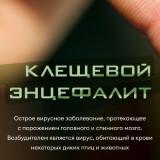 /children/DocLib2/_VO9V1kOOvU (1).jpg